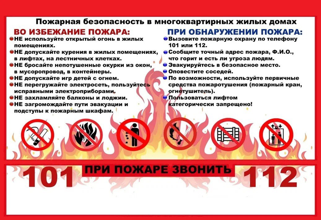 IMG 20230206 112511 419